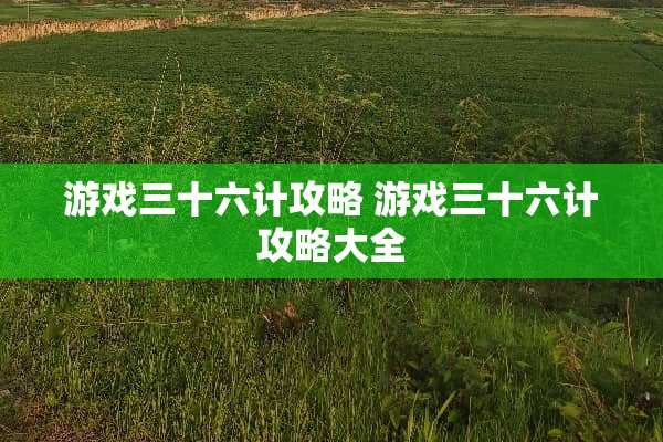 游戏三十六计攻略 游戏三十六计攻略大全