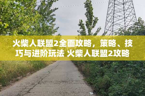火柴人联盟2全面攻略，策略、技巧与进阶玩法 火柴人联盟2攻略