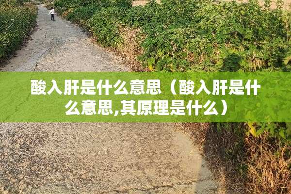 酸入肝是什么意思（酸入肝是什么意思,其原理是什么）