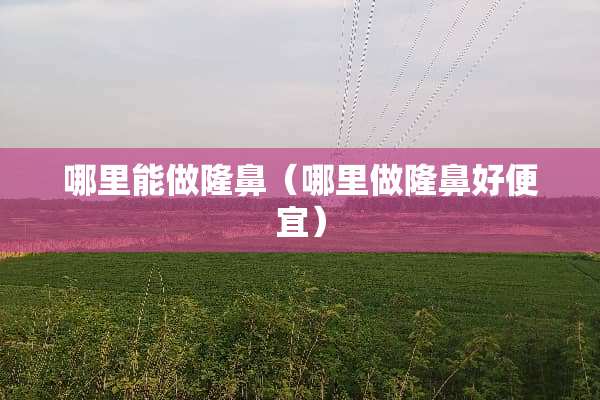 哪里能做隆鼻（哪里做隆鼻好便宜）