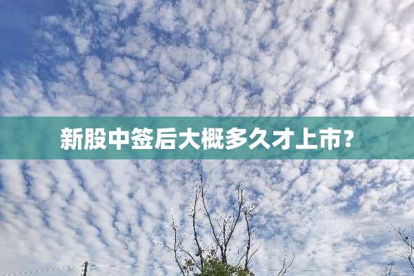 新股中签后大概多久才上市？