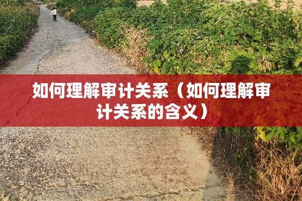 如何理解审计关系（如何理解审计关系的含义）