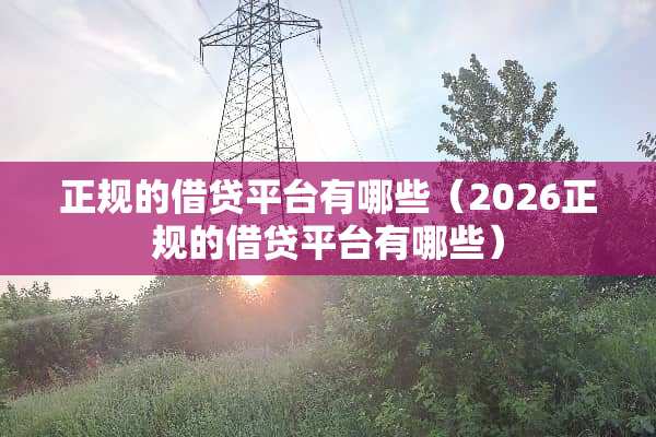 正规的借贷平台有哪些（2026正规的借贷平台有哪些）
