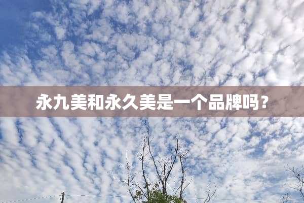 永九美和永久美是一个品牌吗？