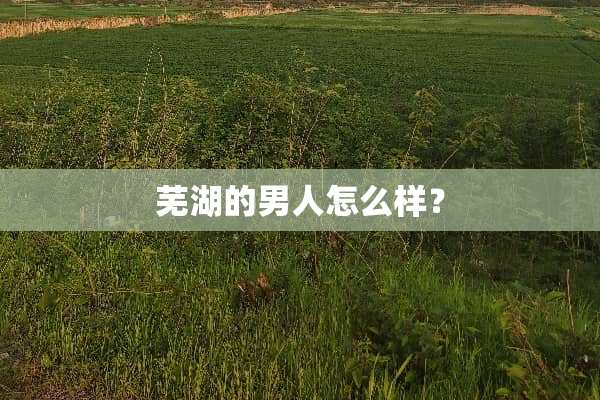 芜湖的男人怎么样？