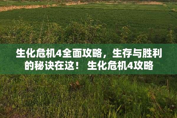 生化危机4全面攻略，生存与胜利的秘诀在这！ 生化危机4攻略