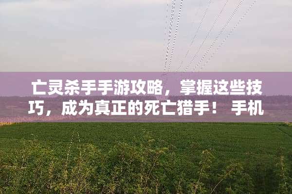 亡灵**手游攻略，掌握这些技巧，成为真正的死亡猎手！ 手机游戏亡灵**攻略