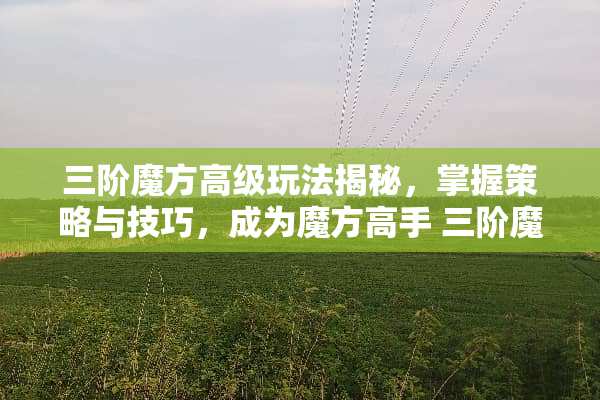 三阶魔方高级玩法揭秘，掌握策略与技巧，成为魔方高手 三阶魔方高级玩法