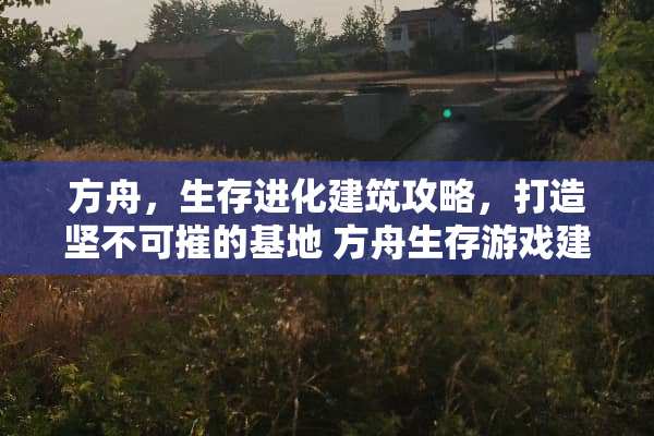 方舟，生存进化建筑攻略，打造坚不可摧的基地 方舟生存游戏建筑攻略