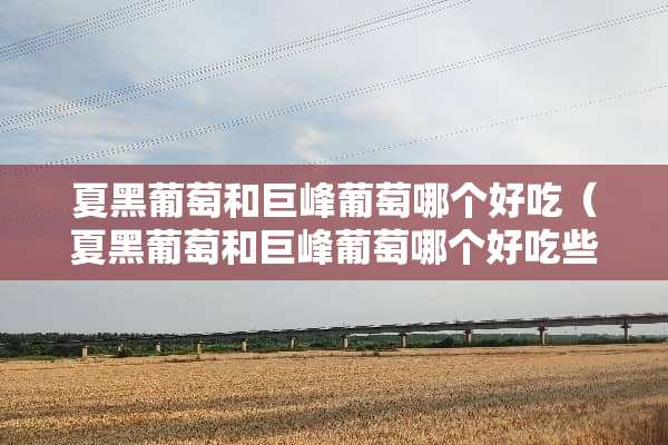 夏黑葡萄和巨峰葡萄哪个好吃（夏黑葡萄和巨峰葡萄哪个好吃些）