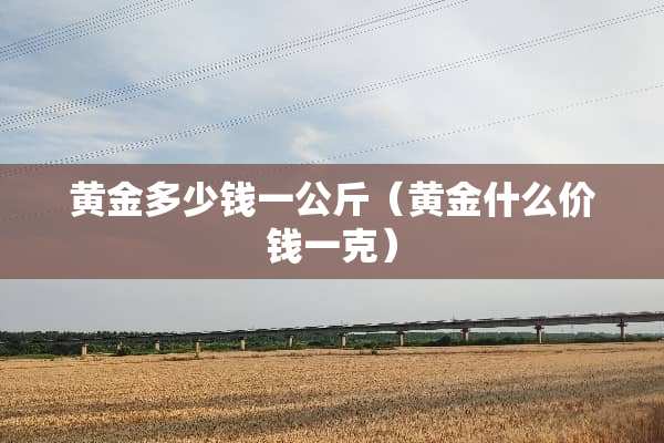 黄金多少钱一公斤（黄金什么价钱一克）