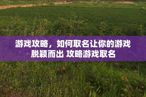 游戏攻略,如何取名让你的游戏脱颖而出 攻略游戏取名 游戏攻略,如何取名让你的游戏脱颖而出 攻略游戏取名
