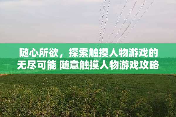 随心所欲，探索触摸人物游戏的无尽可能 随意触摸人物游戏攻略
