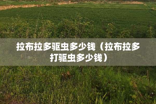 拉布拉多驱虫多少钱（拉布拉多打驱虫多少钱）