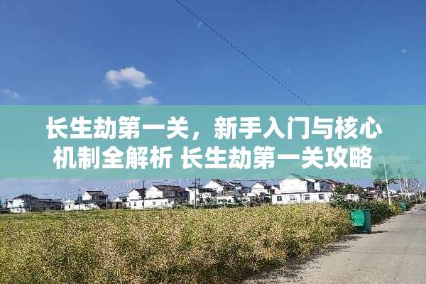 长生劫第一关，新手入门与核心机制全解析 长生劫第一关攻略