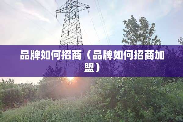 品牌如何招商（品牌如何招商加盟）