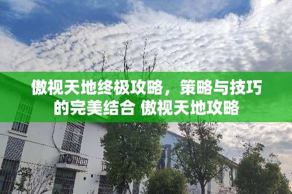 傲视天地终极攻略，策略与技巧的完美结合 傲视天地攻略