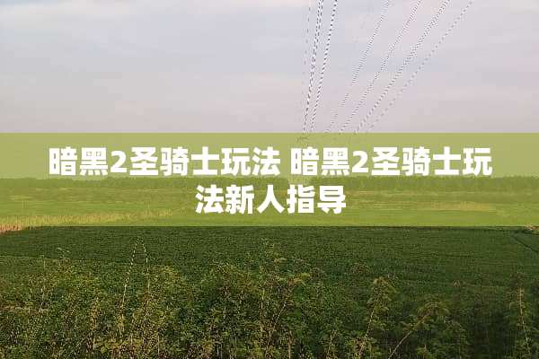 暗黑2圣骑士玩法 暗黑2圣骑士玩法新人指导