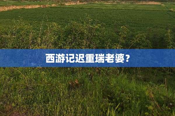 西游记迟重瑞老婆？