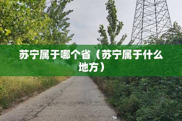 苏宁属于哪个省（苏宁属于什么地方）