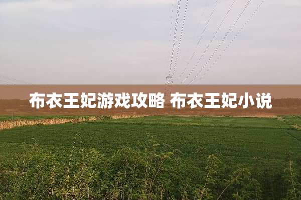 布衣王妃游戏攻略 布衣王妃小说