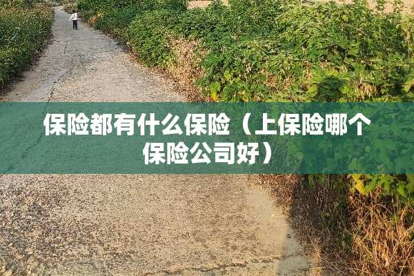 保险都有什么保险（上保险哪个保险公司好）