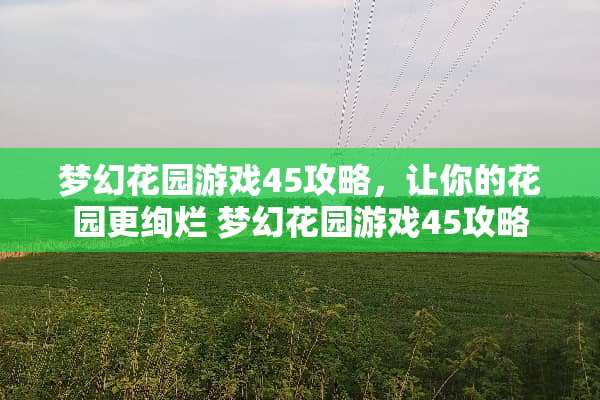 梦幻花园游戏45攻略，让你的花园更绚烂 梦幻花园游戏45攻略