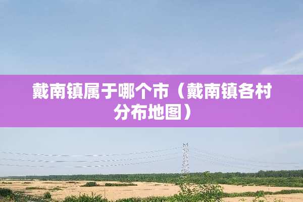 戴南镇属于哪个市（戴南镇各村分布地图）