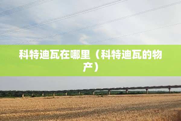 科特迪瓦在哪里(科特迪瓦的物产) 科特迪瓦在哪里(科特迪瓦的物产)