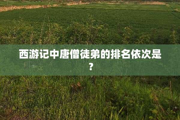 西游记中唐僧徒弟的排名依次是？