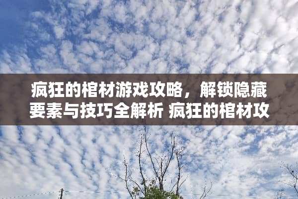 疯狂的棺材游戏攻略，解锁隐藏要素与技巧全解析 疯狂的棺材攻略