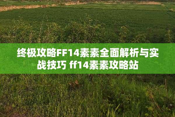 终极攻略FF14素素全面解析与实战技巧 ff14素素攻略站