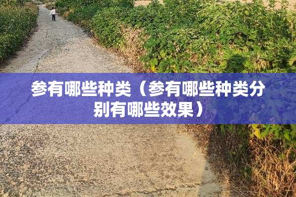 参有哪些种类（参有哪些种类分别有哪些效果）