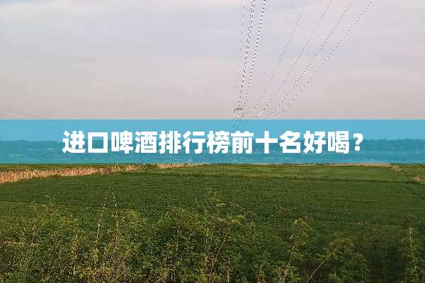 进口啤酒排行榜前十名好喝？