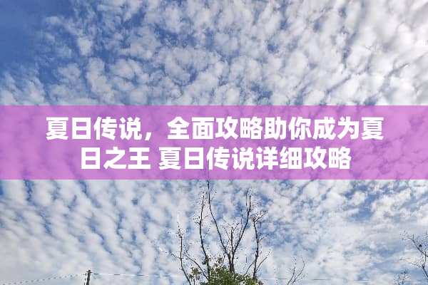 夏日传说,全面攻略助你成为夏日之王 夏日传说详细攻略 夏日传说,全面攻略助你成为夏日之王 夏日传说详细攻略