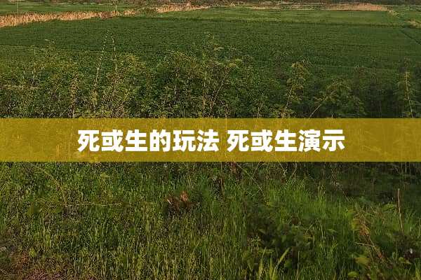 死或生的玩法 死或生演示