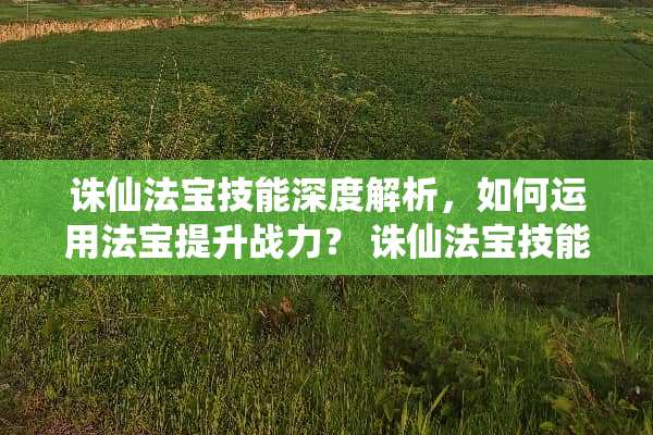 诛仙法宝技能深度解析,如何运用法宝提升战力? 诛仙法宝技能 诛仙法宝技能深度解析,如何运用法宝提升战力? 诛仙法宝技能