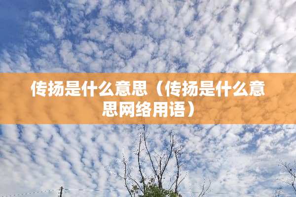 传扬是什么意思（传扬是什么意思网络用语）