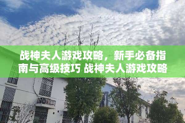 战神夫人游戏攻略，新手必备指南与高级技巧 战神夫人游戏攻略