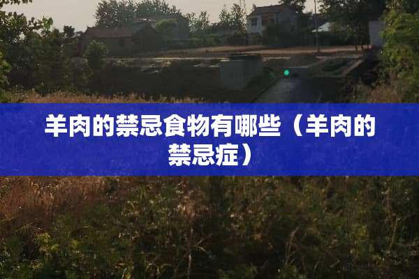 羊肉的禁忌食物有哪些（羊肉的禁忌症）