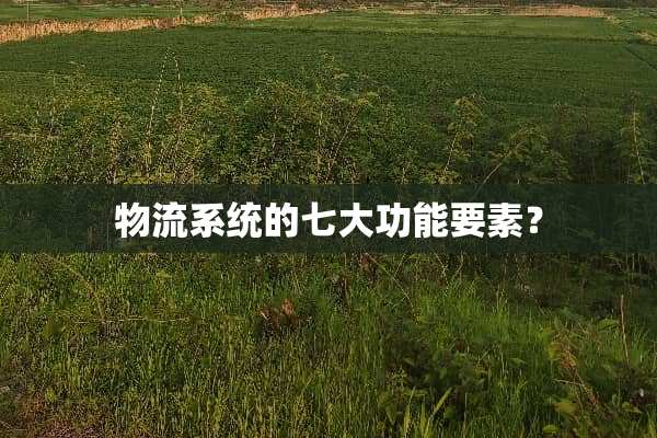 物流系统的七大功能要素？