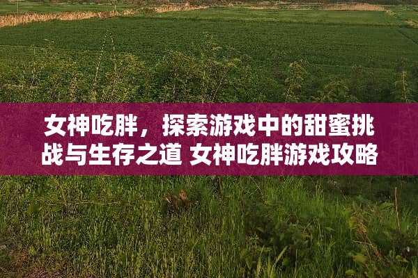 女神吃胖，探索游戏中的甜蜜挑战与生存之道 女神吃胖游戏攻略