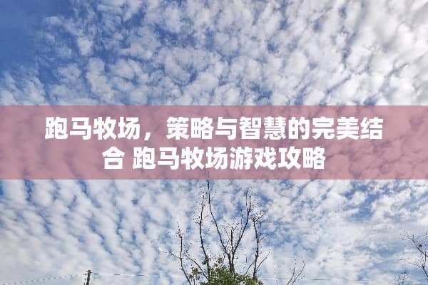 **牧场,策略与智慧的完美结合**牧场游戏攻略 **牧场,策略与智慧的完美结合**牧场游戏攻略