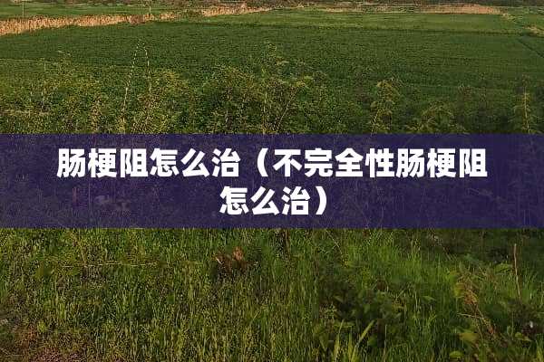 肠梗阻怎么治(不完全性肠梗阻怎么治) 肠梗阻怎么治(不完全性肠梗阻怎么治)