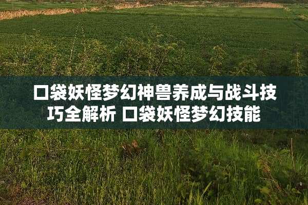 口袋妖怪梦幻神兽养成与战斗技巧全解析 口袋妖怪梦幻技能