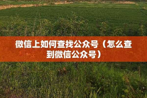 微信上如何查找公众号（怎么查到微信公众号）