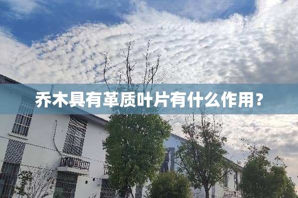 乔木具有革质叶片有什么作用？