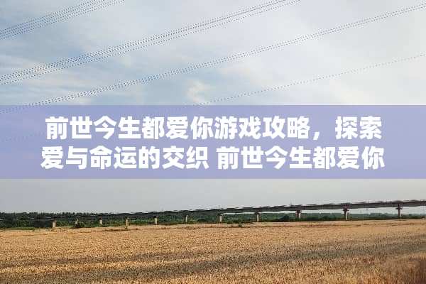 前世今生都爱你游戏攻略，探索爱与命运的交织 前世今生都爱你游戏攻略