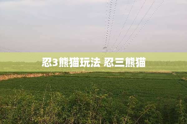 忍3熊猫玩法 忍三熊猫