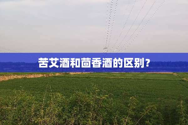 苦艾酒和茴香酒的区别？